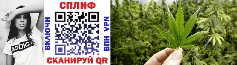 Бошки Шишки Ganja  Купить закладки  Котельниково 